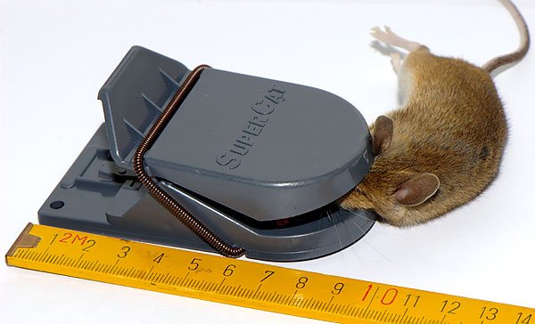 Крысоловка SuperCat