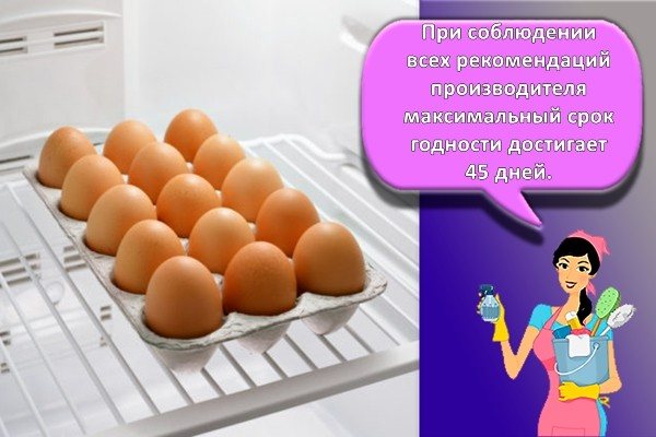 сырые яйца в холодильнике